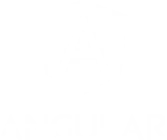 ang-logo